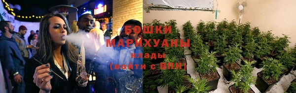 гидропоника Няндома